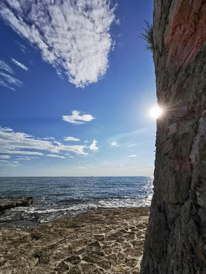Aria Deluxe Superior 5 Star Apartment, Your Piece Of Heaven By The Sea & Park, With Sea & Park View Novigrad Istria Εξωτερικό φωτογραφία